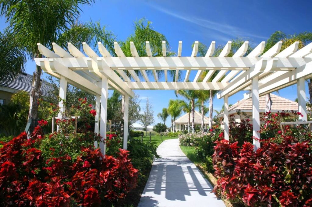 White timber pergola shading a garden pathway lined with flowering shrubs